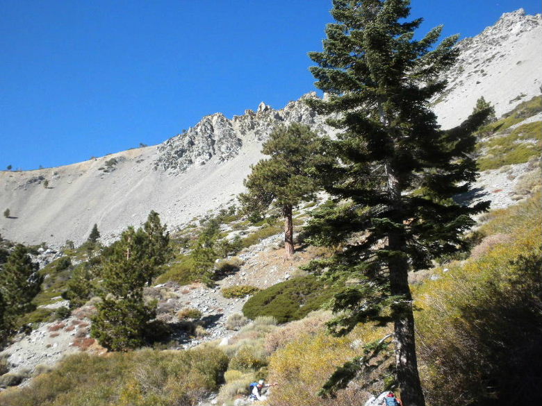 baldy102311 010.JPG