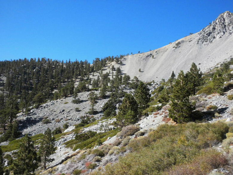 baldy102311 011.JPG