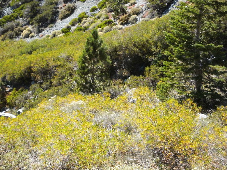 baldy102311 033.JPG