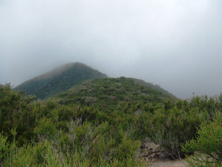 nattle33008 047.jpg