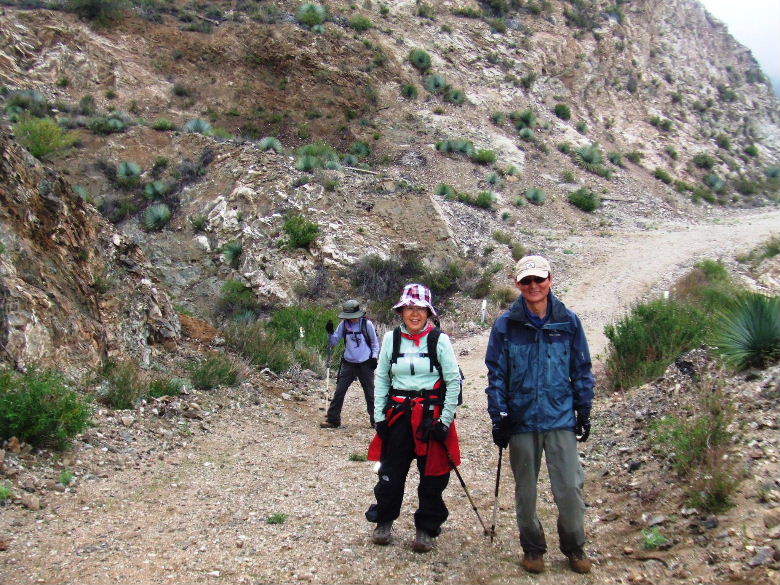 nattle33008 057.jpg
