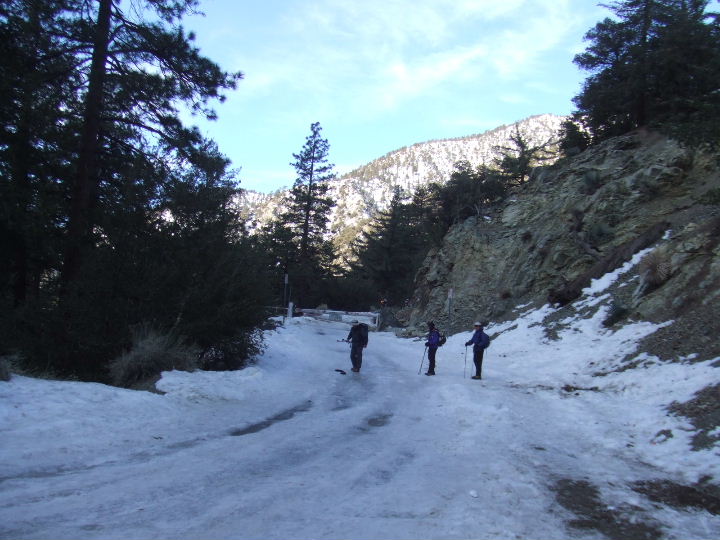 baldy010409 010.jpg