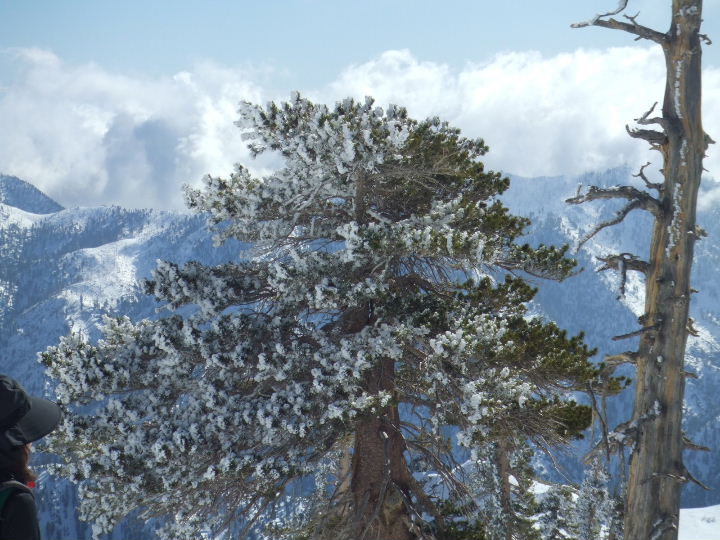 baldy010409 030.jpg