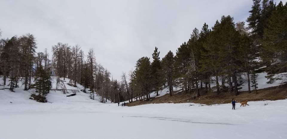 1579490124510-3.jpg : Dry Lake, San Gorgonio wilderness, 2020년 1월 19일