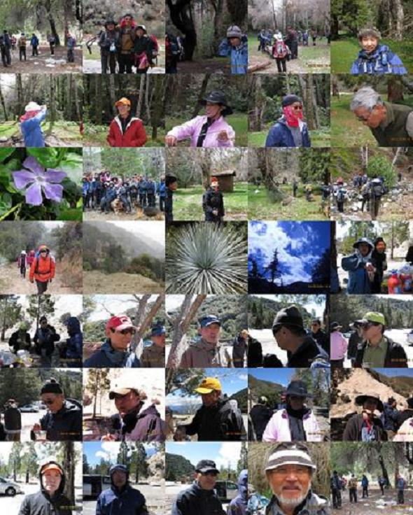 3-21-09 collage - Copy.jpg