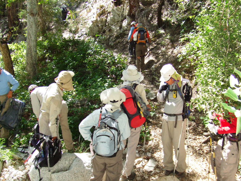 Devilsdanyon62908 018.jpg