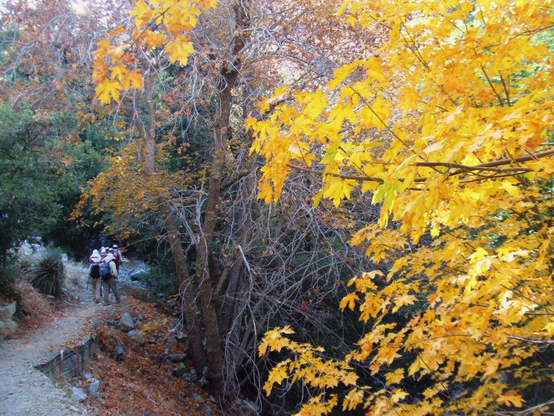 cucamongapeak101809 025.jpg