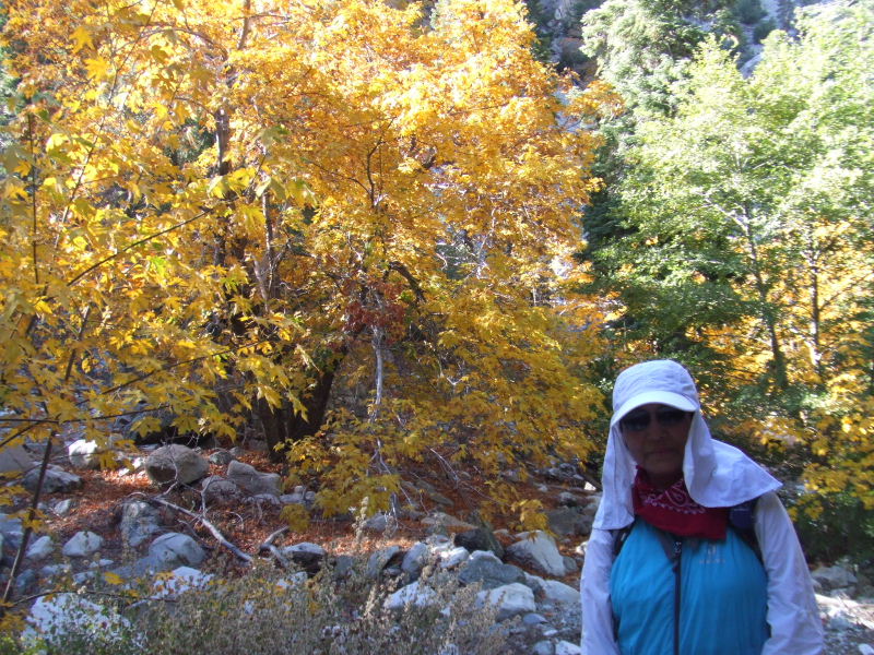 cucamongapeak101809 031.jpg