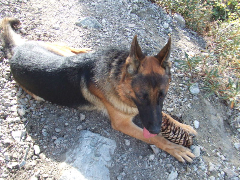 cucamongapeak101809 047.jpg