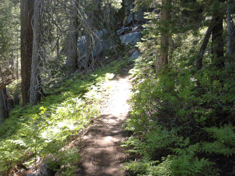 marion61911 030.JPG