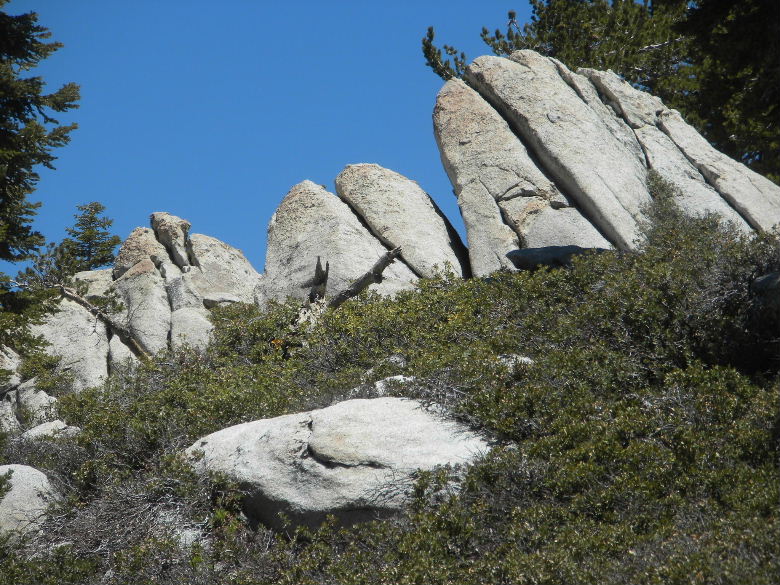marion61911 047.JPG