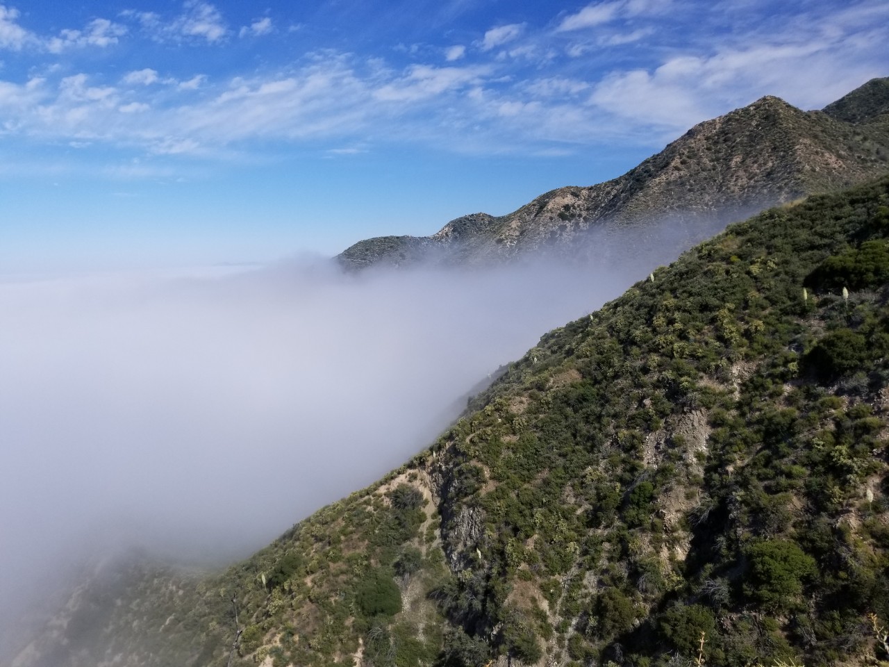 lu14.jpg : Mt.Lukens : 6월16일 2019 lu14.jpg : Mt.Lukens : 6월16일 2019