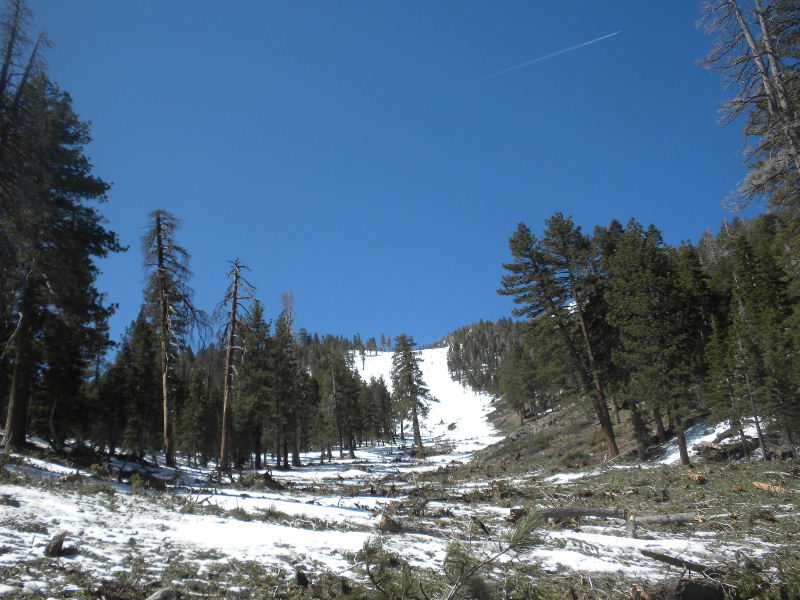 gorgo42510 041.jpg