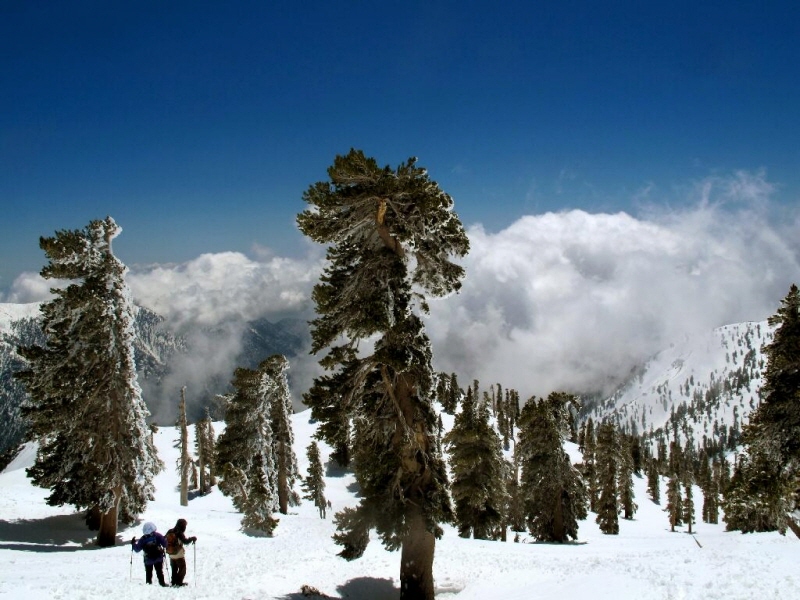 0411Baldy11.JPG