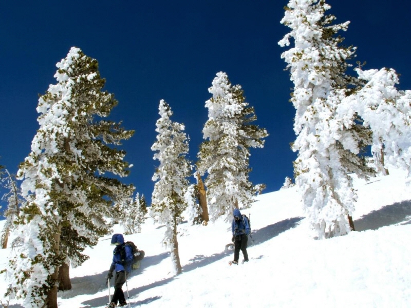 0411Baldy12.JPG