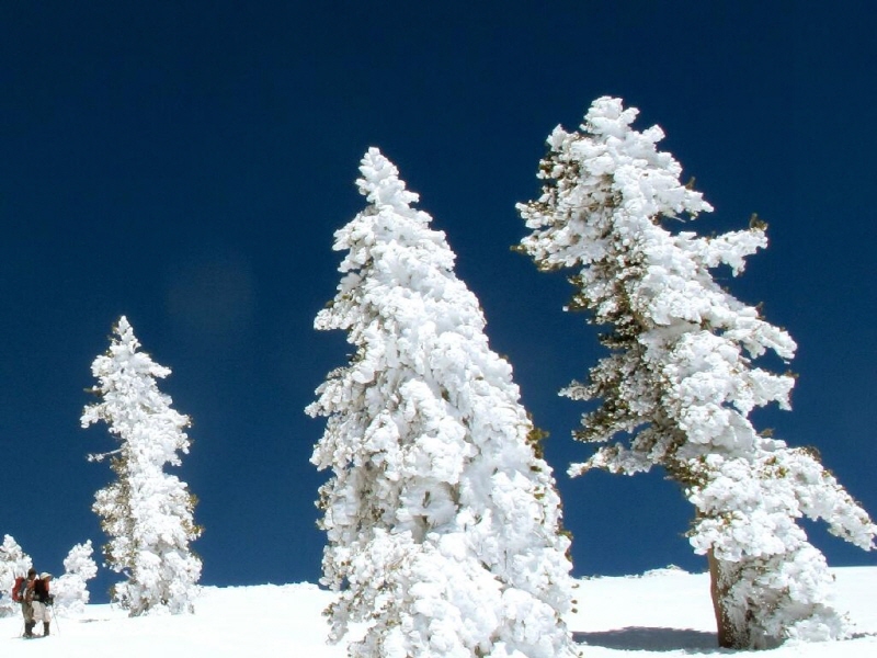 0411Baldy13.JPG