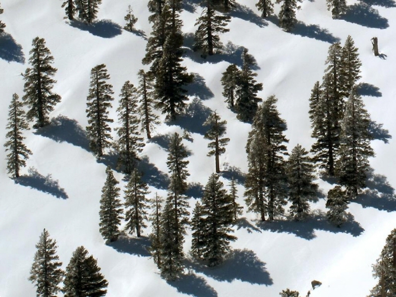 0411Baldy15.JPG