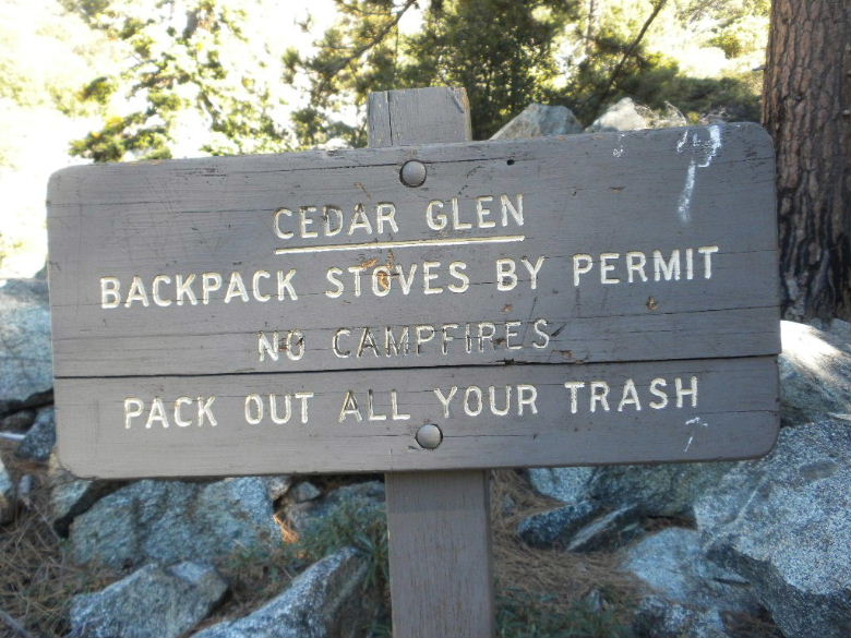 cedar103011 031.JPG