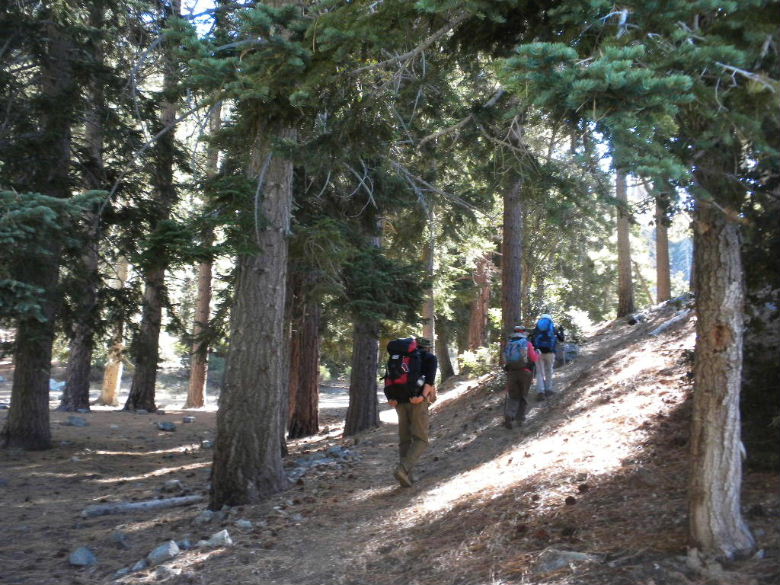cedar103011 032.JPG