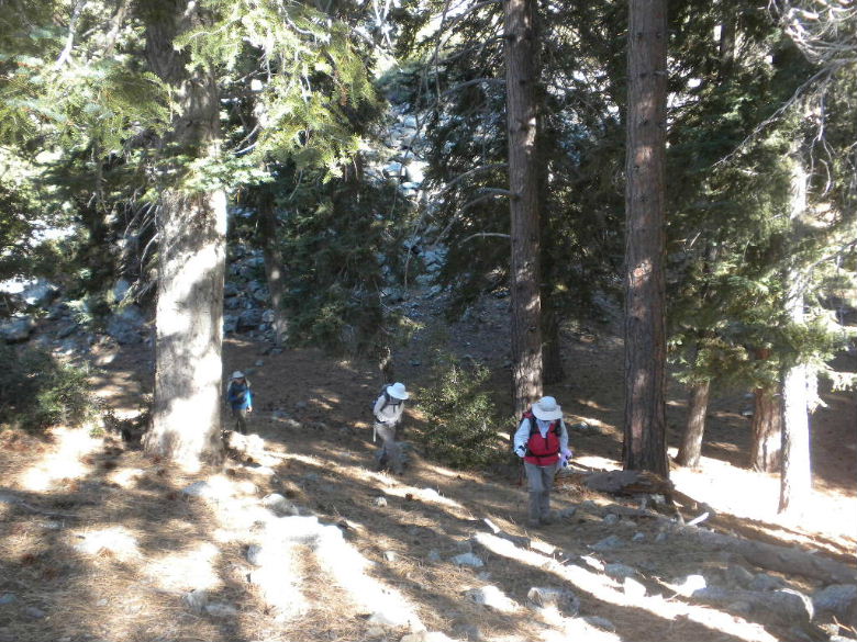 cedar103011 052.JPG