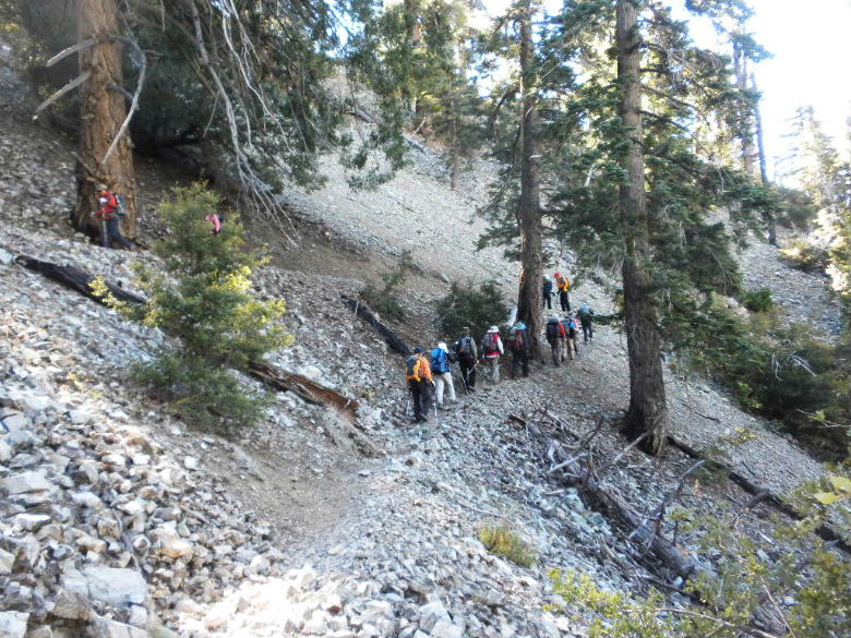 cedar103011 067.JPG