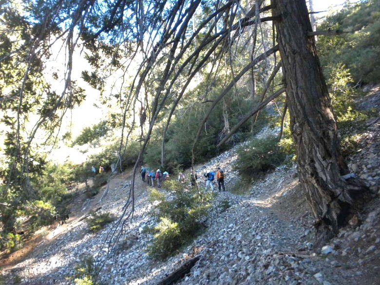 cedar103011 068.JPG