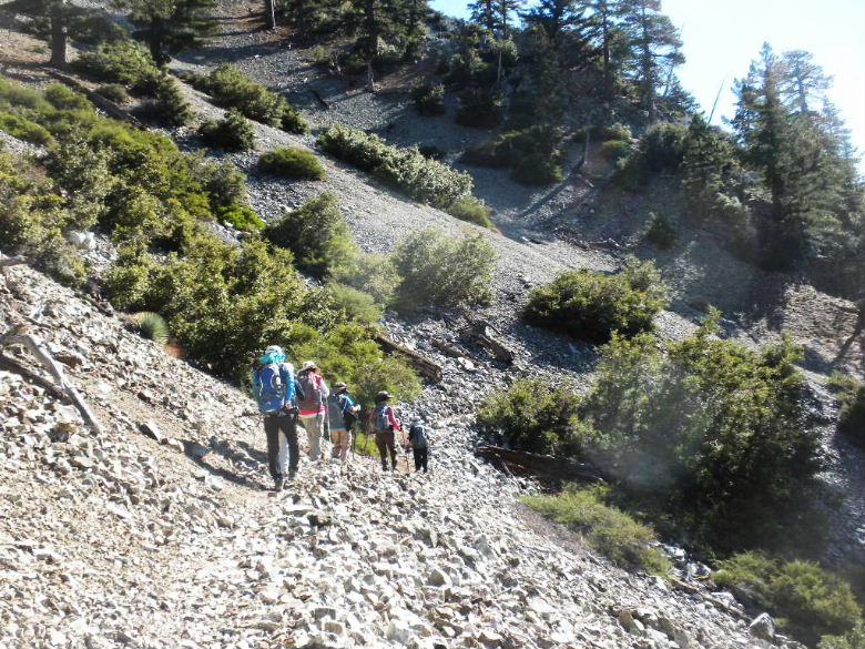 cedar103011 069.JPG