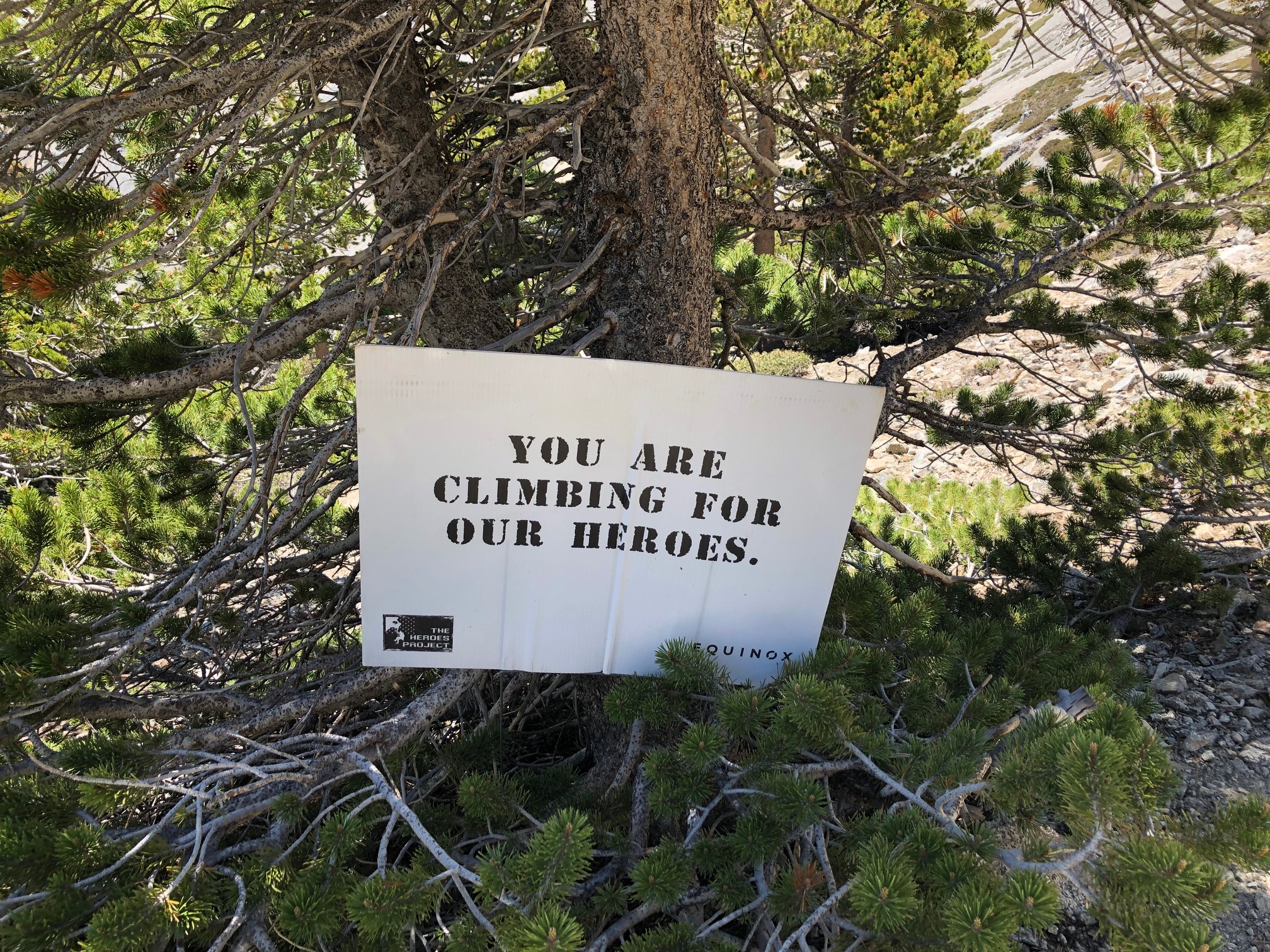 IMG_9979.jpg : Mt.Baldy : 6월23일2019 IMG_9979.jpg : Mt.Baldy : 6월23일2019