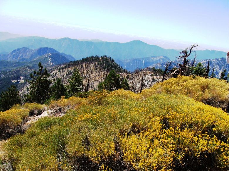 mt.islip92108 028.jpg