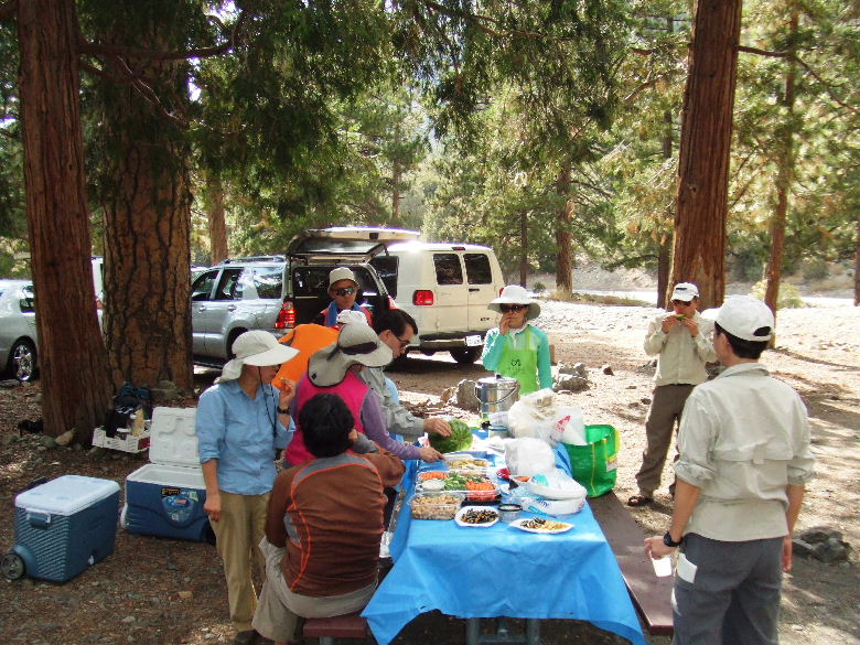 baldy92808 052.jpg