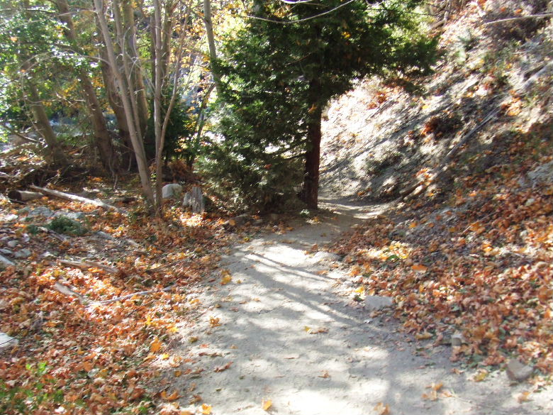 cucamonga1008 119.jpg