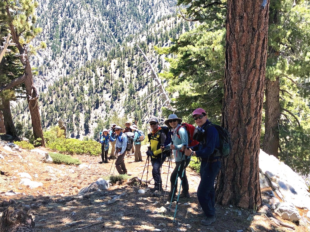 IMG_0056.jpg : Mt.Timber: 6월30일2019
