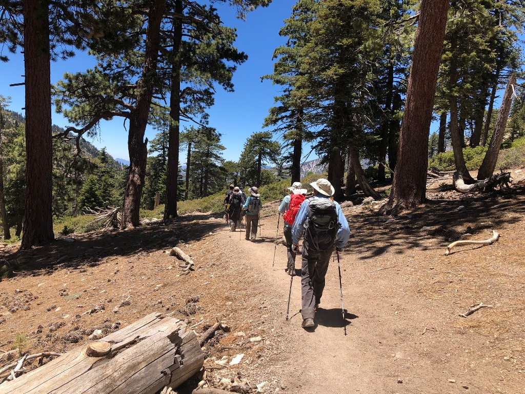 IMG_0058.jpg : Mt.Timber: 6월30일2019