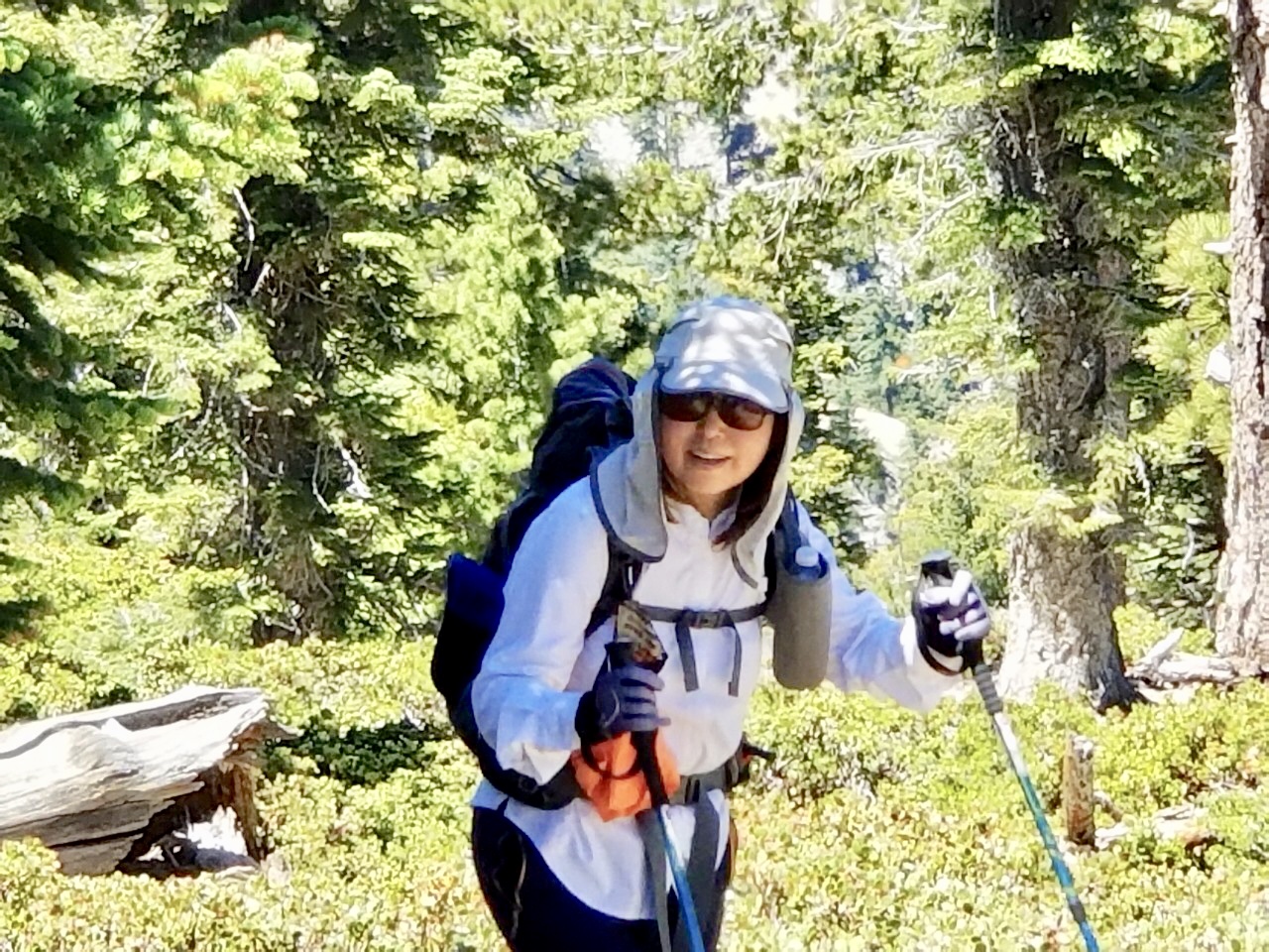 IMG_0118.jpg : Mt.Timber: 6월30일2019