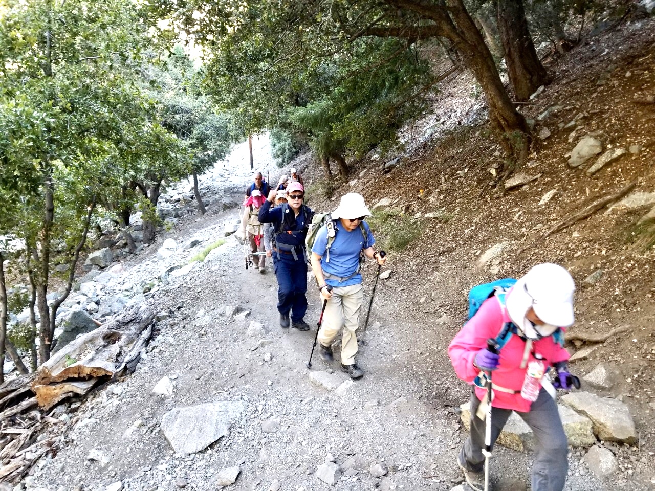 IMG_0113.jpg : Mt.Timber: 6월30일2019