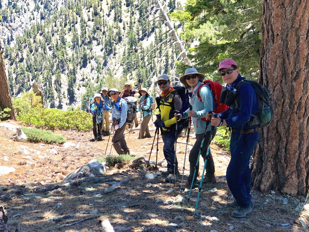 IMG_0057.jpg : Mt.Timber: 6월30일2019