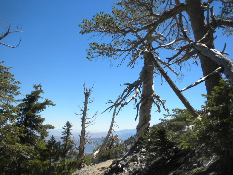 cucamonga8711 024.JPG