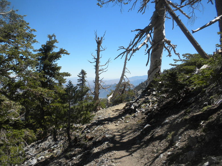 cucamonga8711 025.JPG