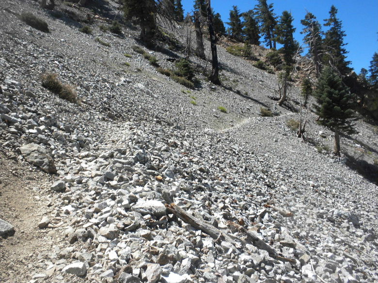 cucamonga8711 029.JPG