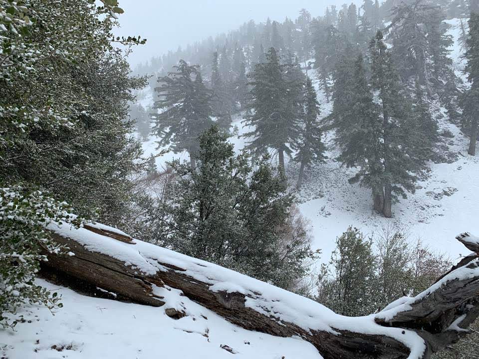1583107163516.jpg : Mt. Timber Hike 3월 1일