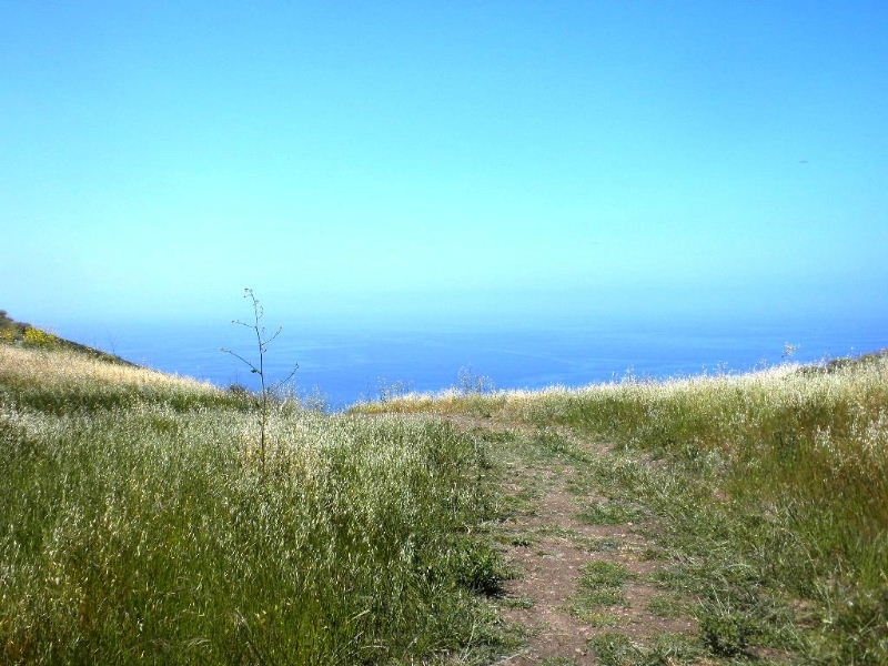 mp050210 096.jpg