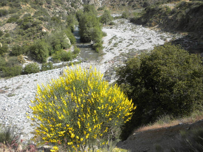 narrow523 034.jpg