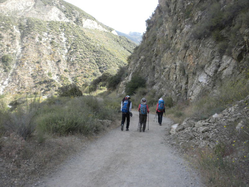 narrow523 036.jpg