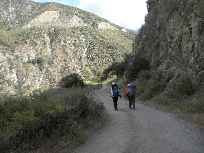 narrow523 037.jpg