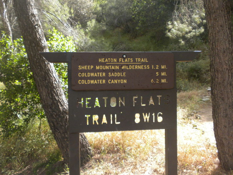 narrow523 038.jpg