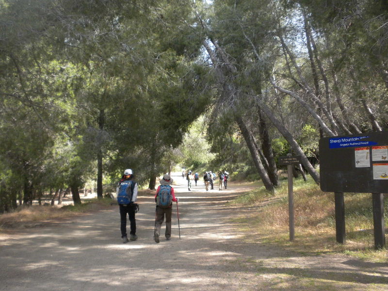 narrow523 039.jpg