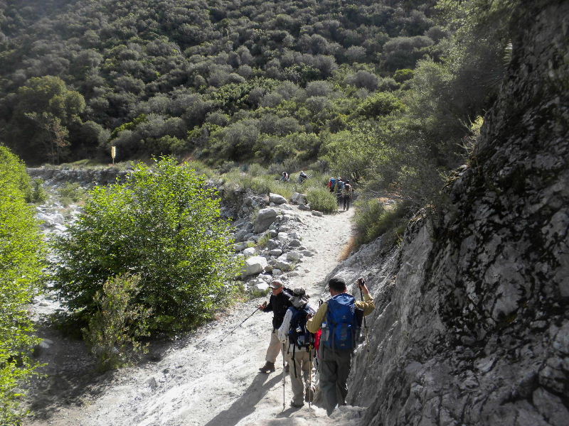 narrow523 042.jpg