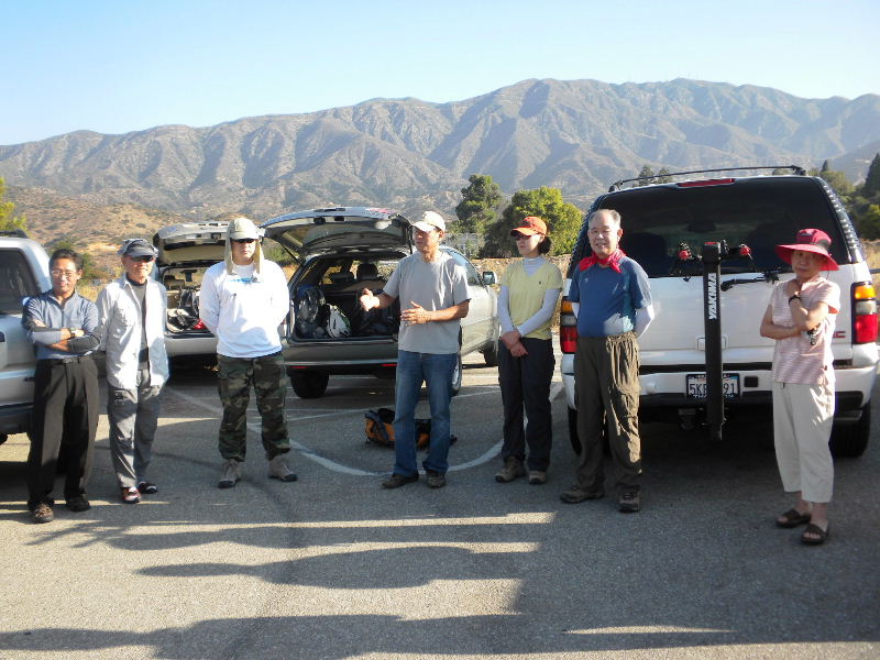 baldy8909 007.jpg