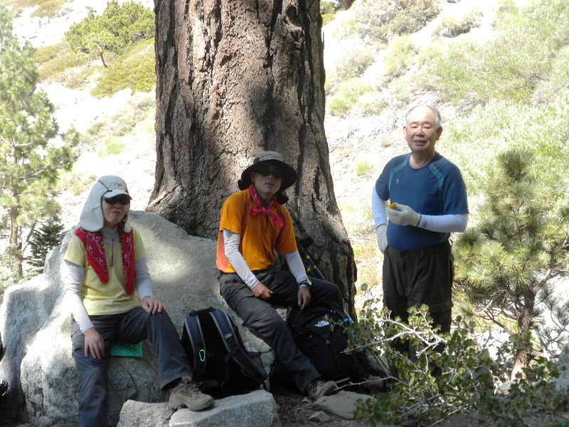 baldy8909 022.jpg