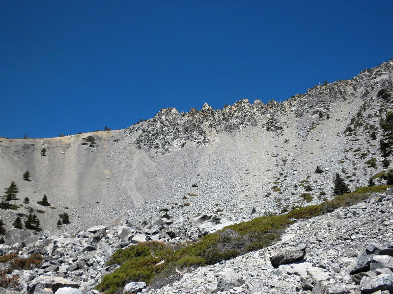 baldy8909 025.jpg
